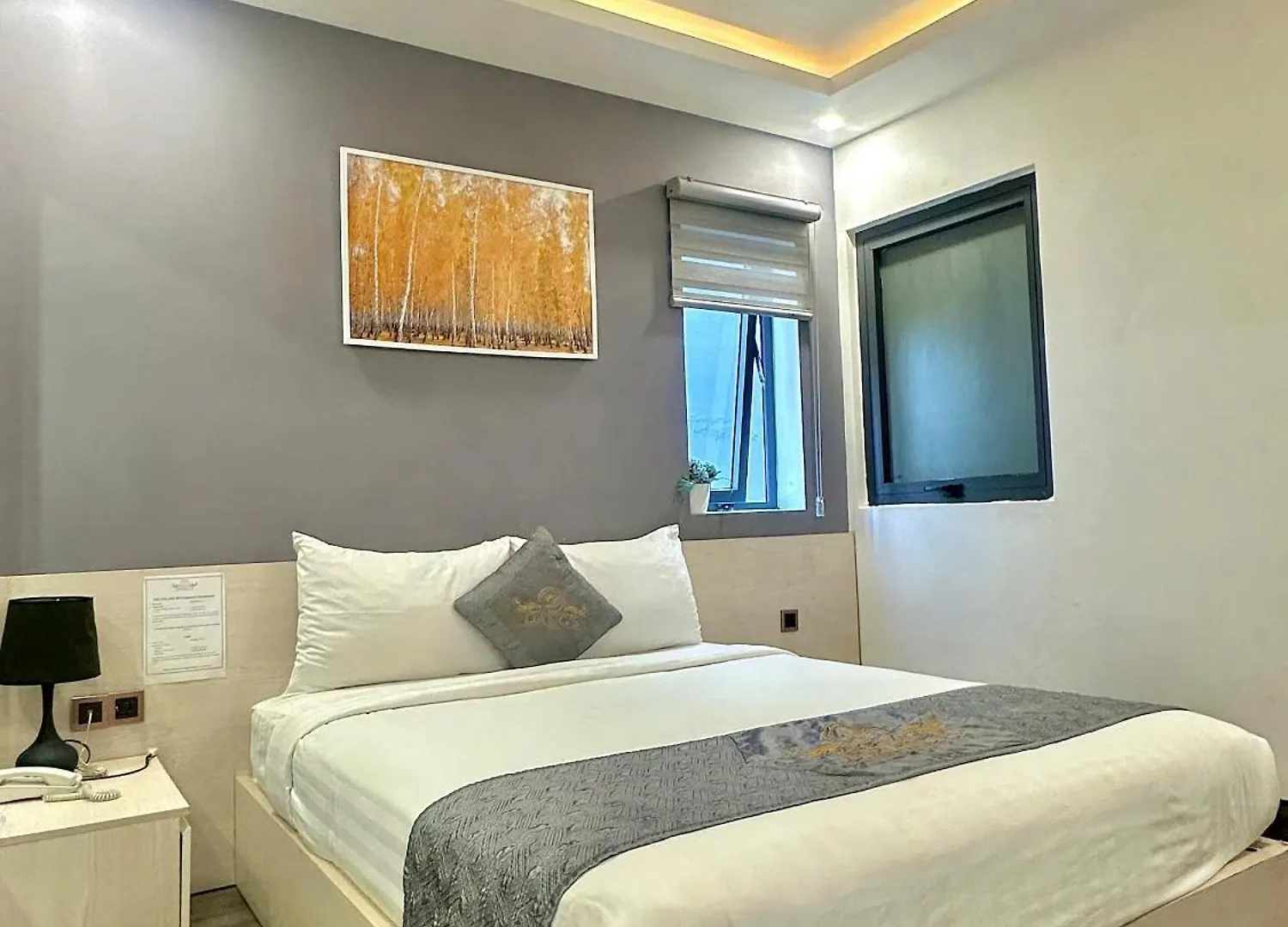 Dang'S Hotel Da Nang